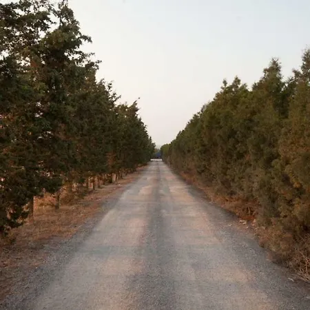 Balci Plaza And Balci Plaza Guest Karpaz Peninsula 아파트호텔