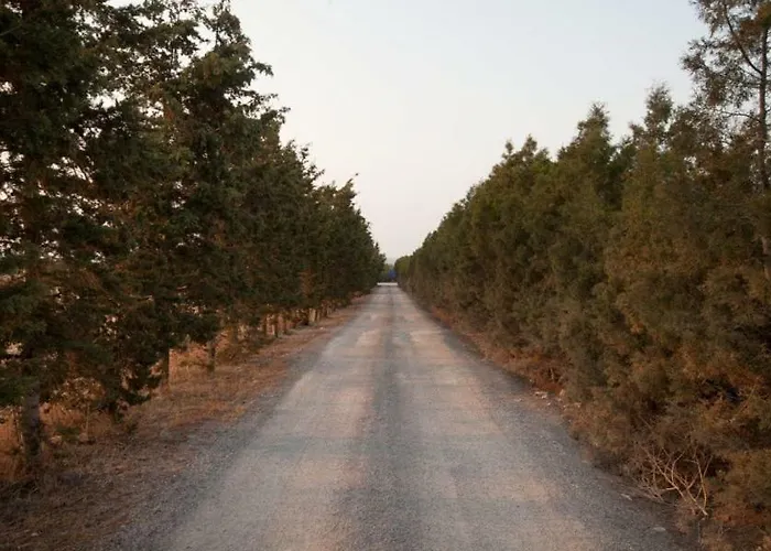 Balci Plaza And Balci Plaza Guest Karpaz Peninsula Lejlighedshotel